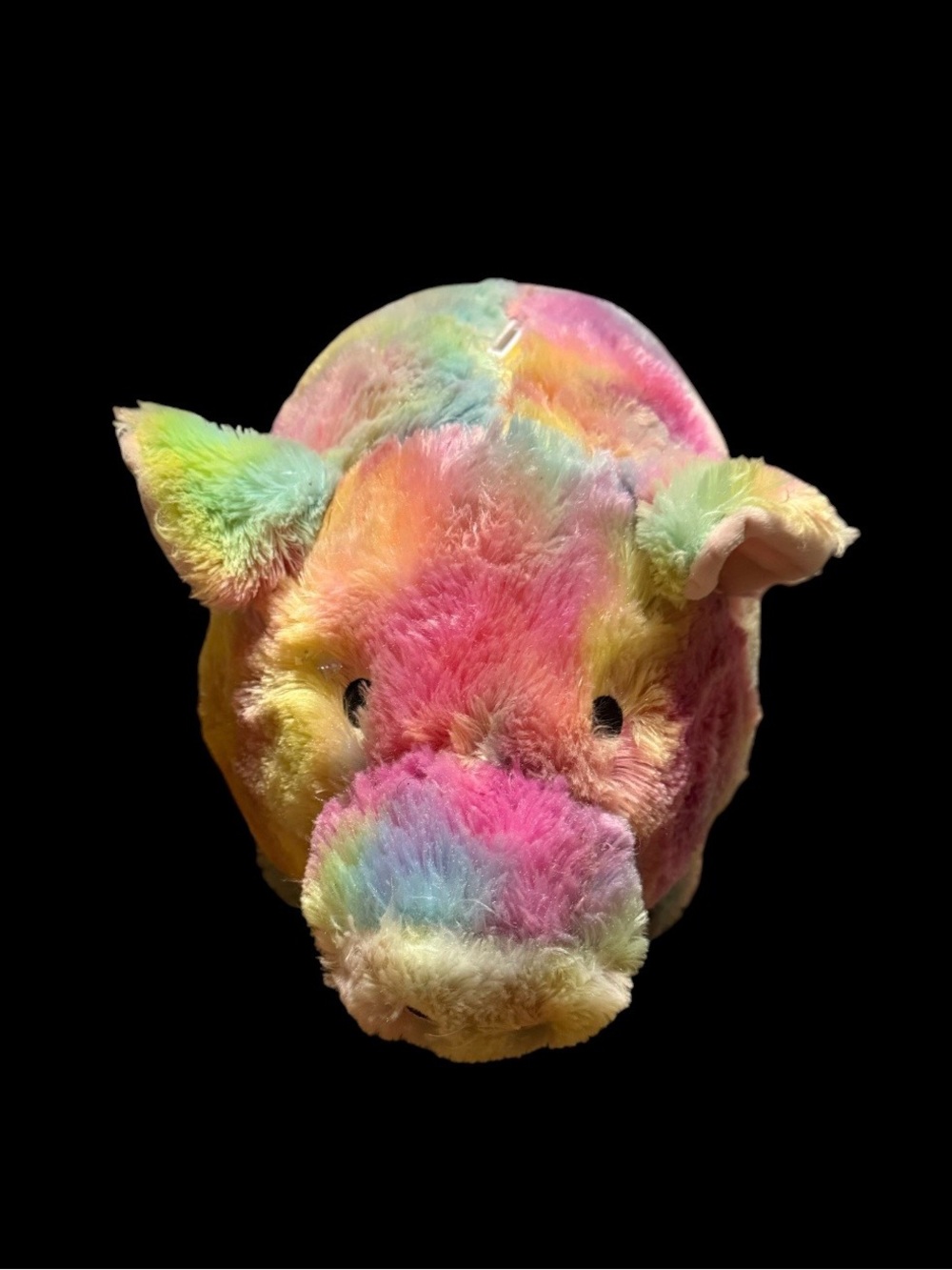 Pig ~ Piggy Bank ~ Rainbow Tie Dye ~ Plush ~ Your Zone~ Coin Slot